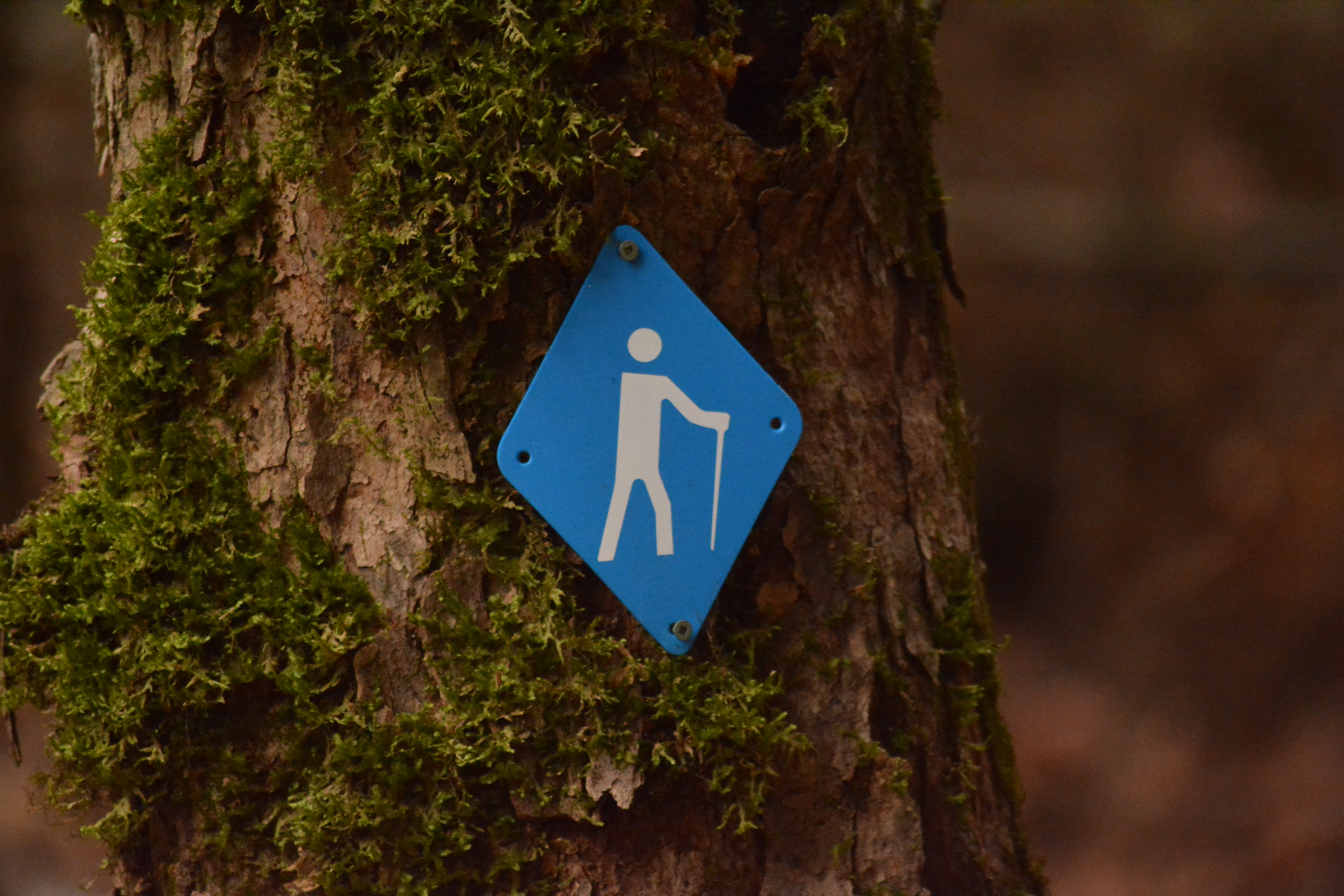 Beetle Lake Sign