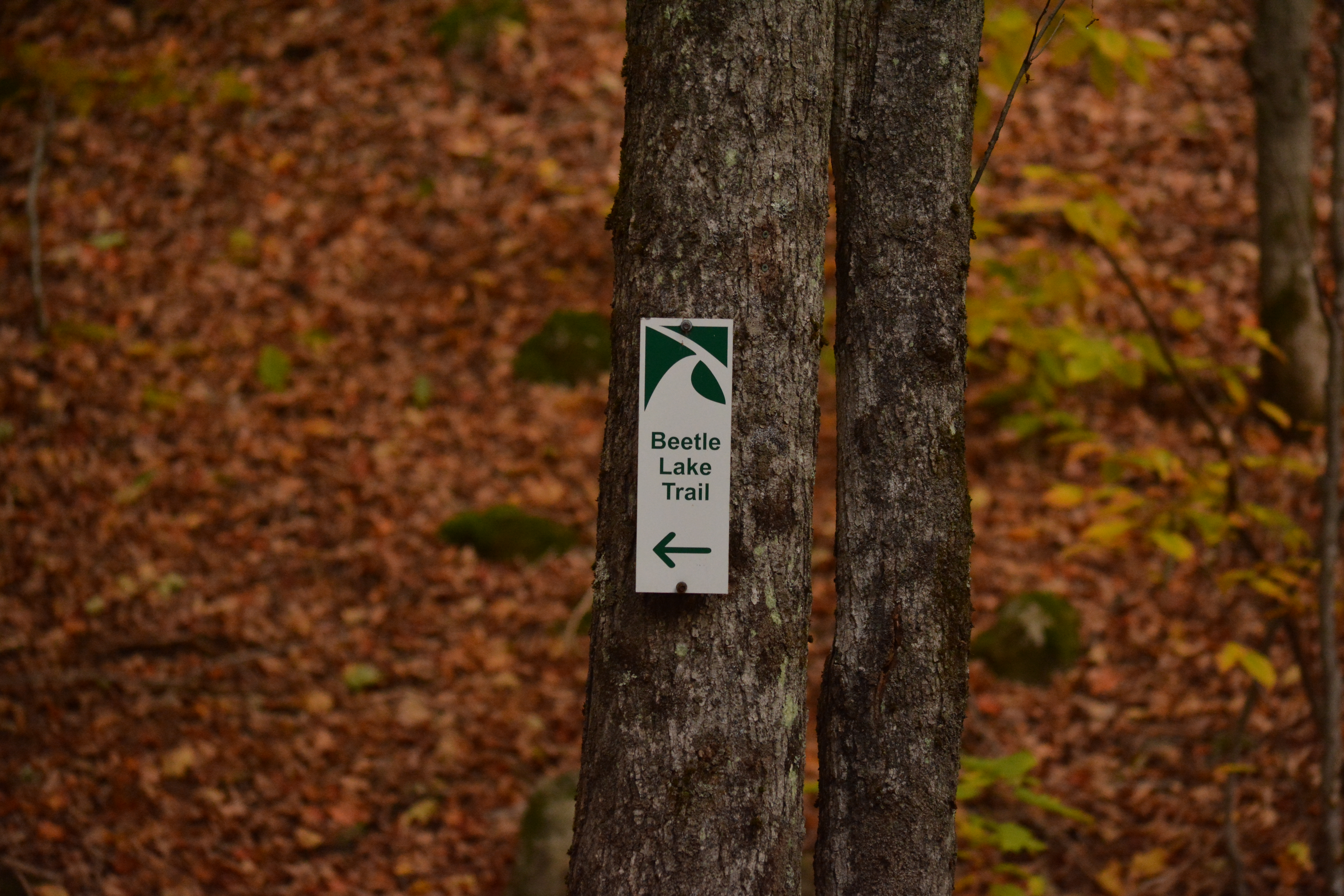 Beetle Lake Sign