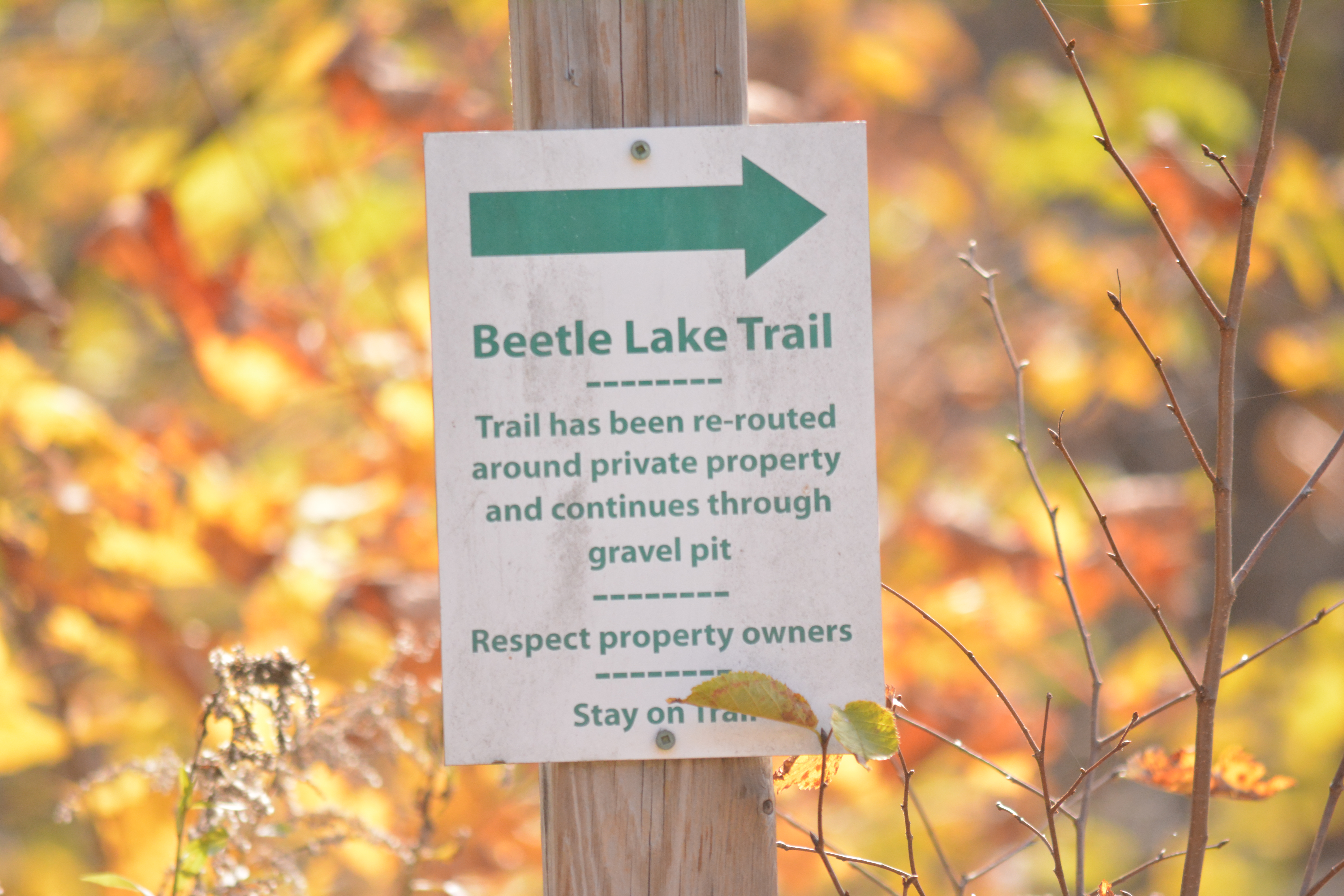 Beetle Lake Sign