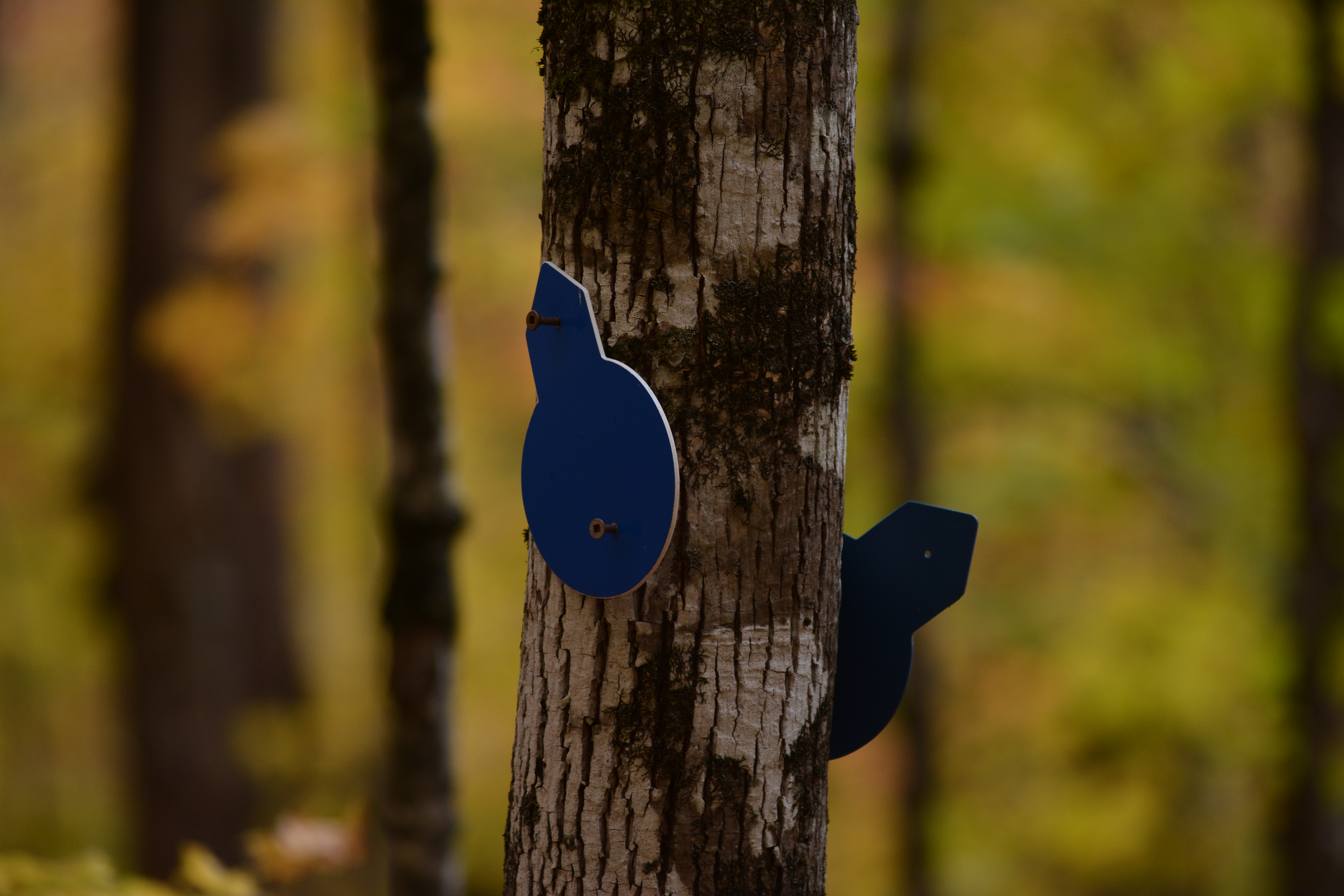 Beetle Lake Sign