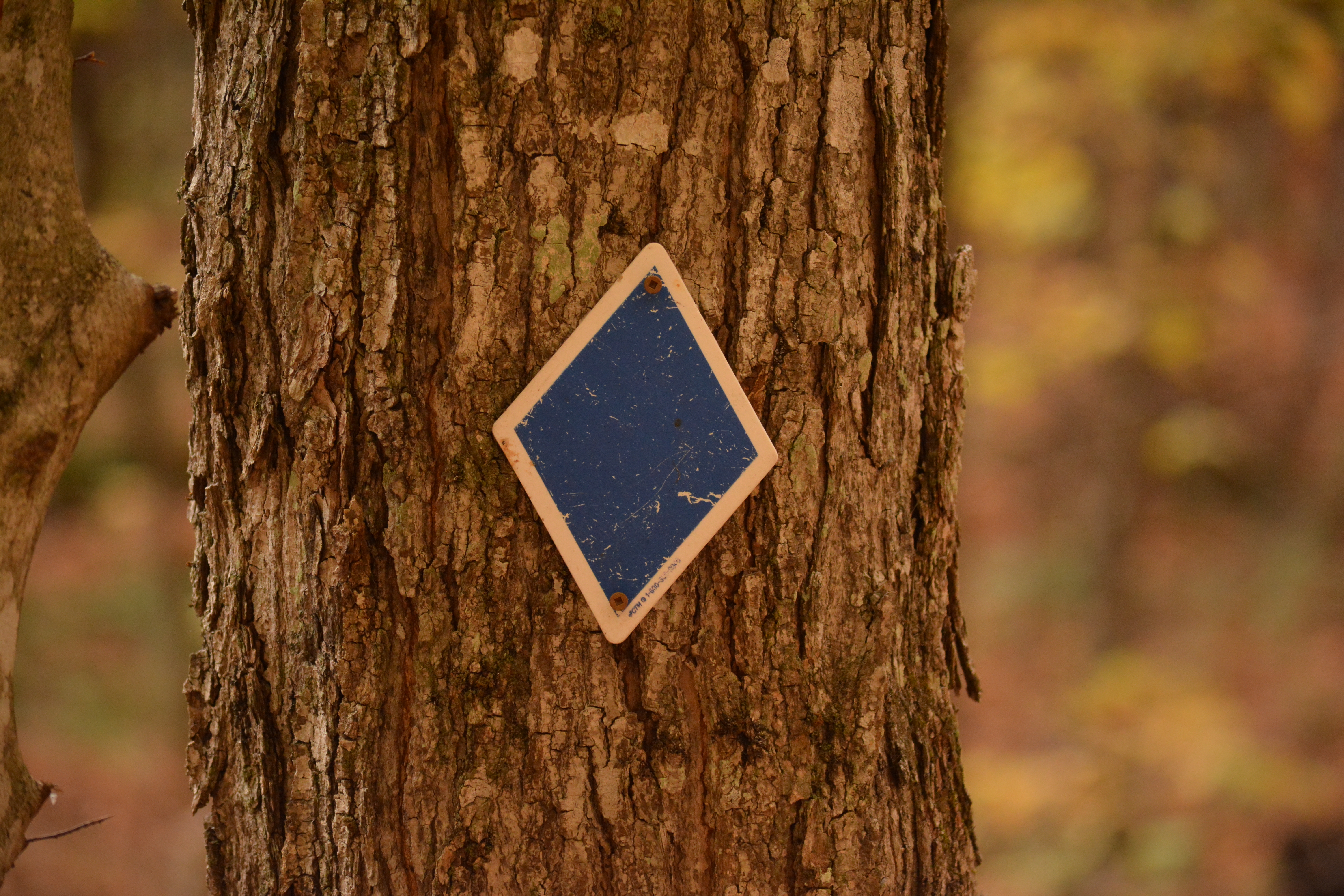 Beetle Lake Sign