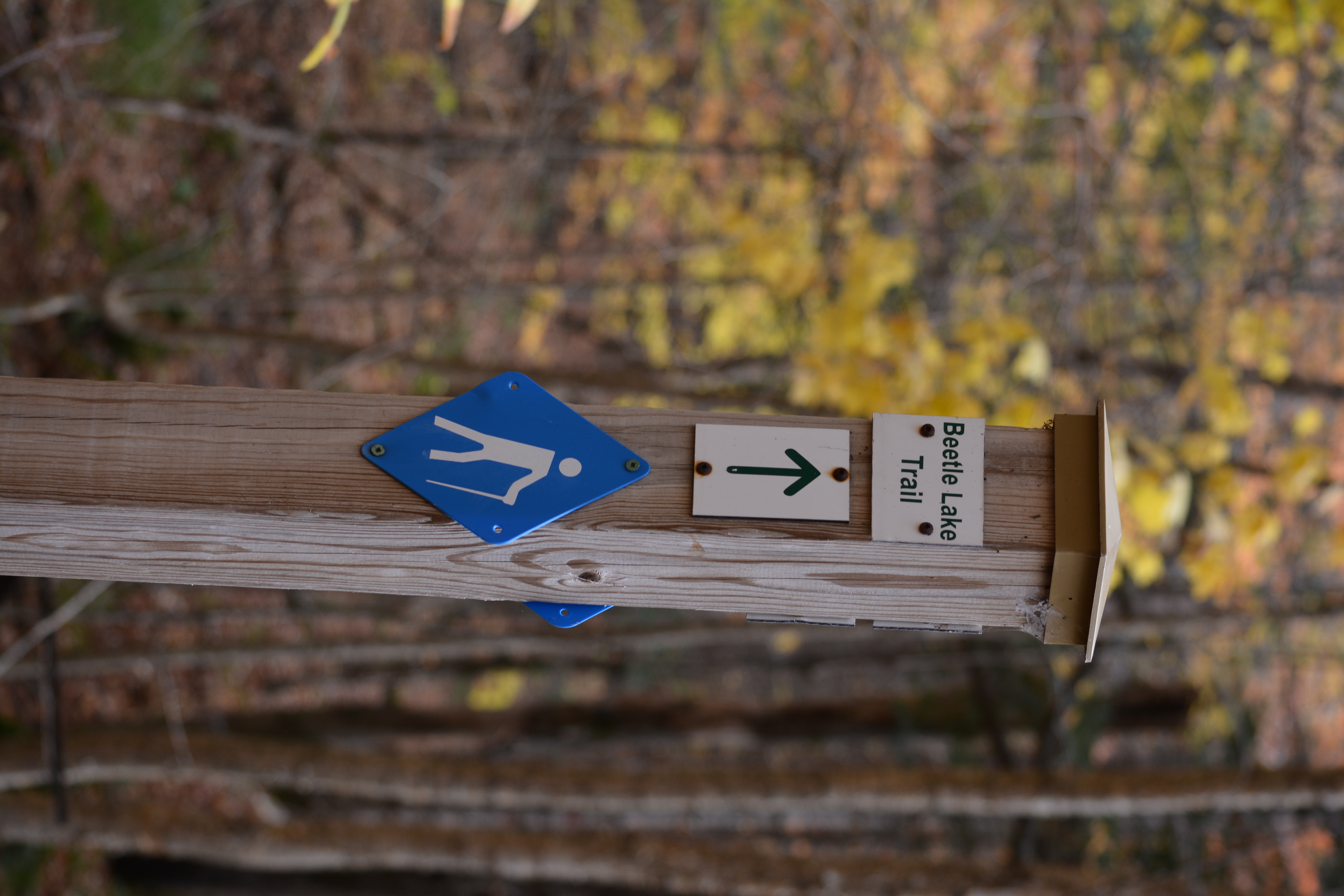 Beetle Lake Sign