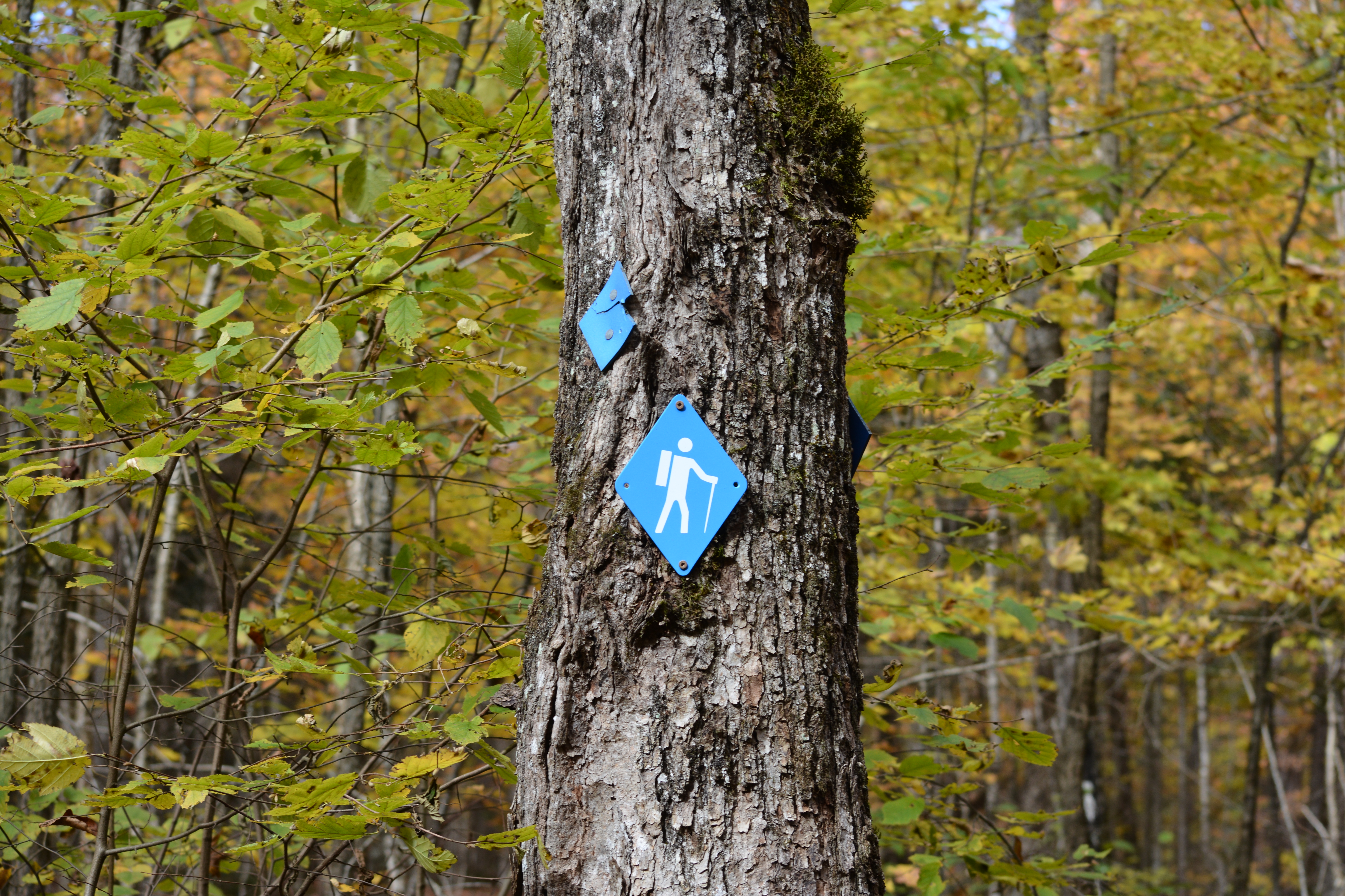 Beetle Lake Sign