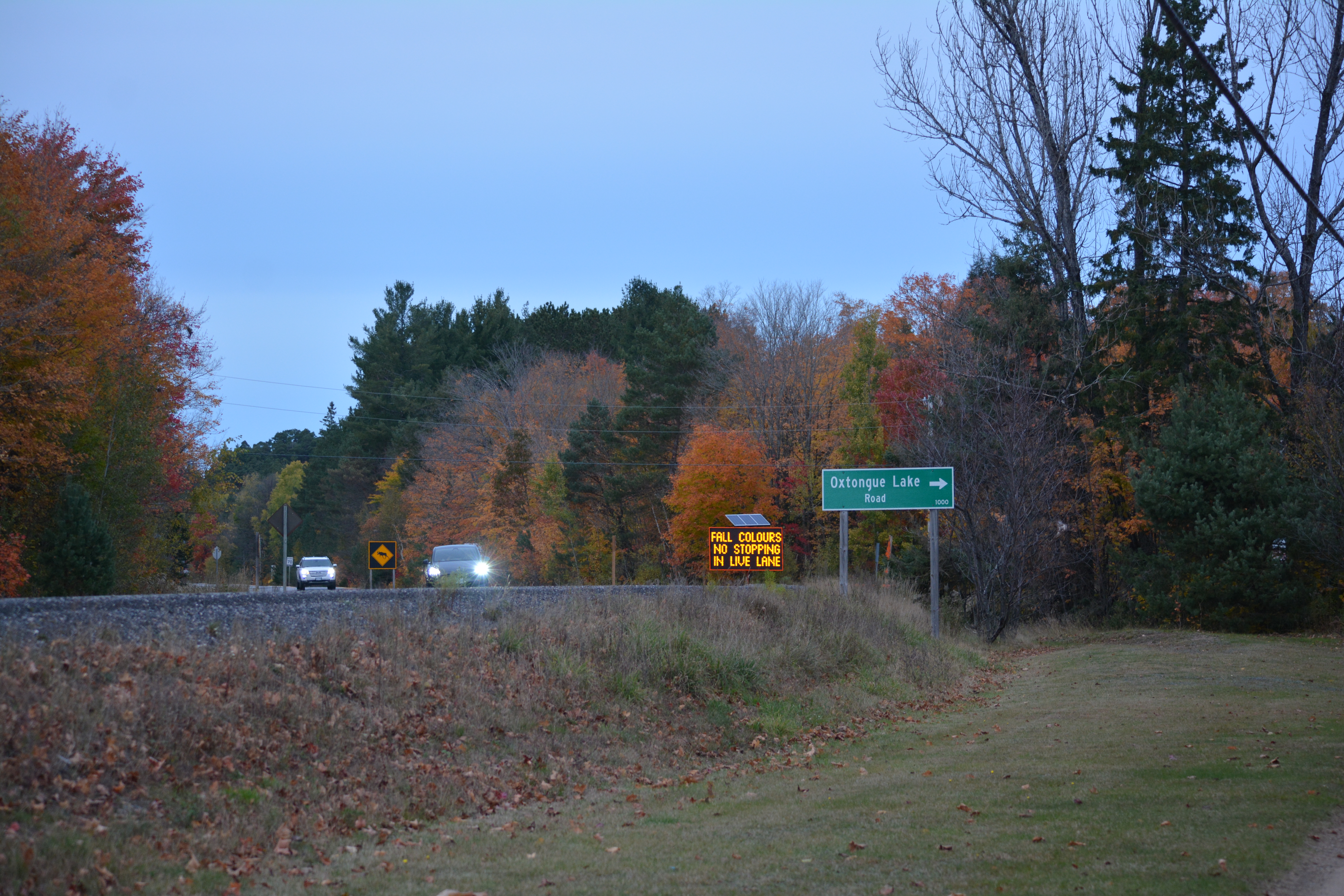 Oxtongue Lake, road sign for no stopping