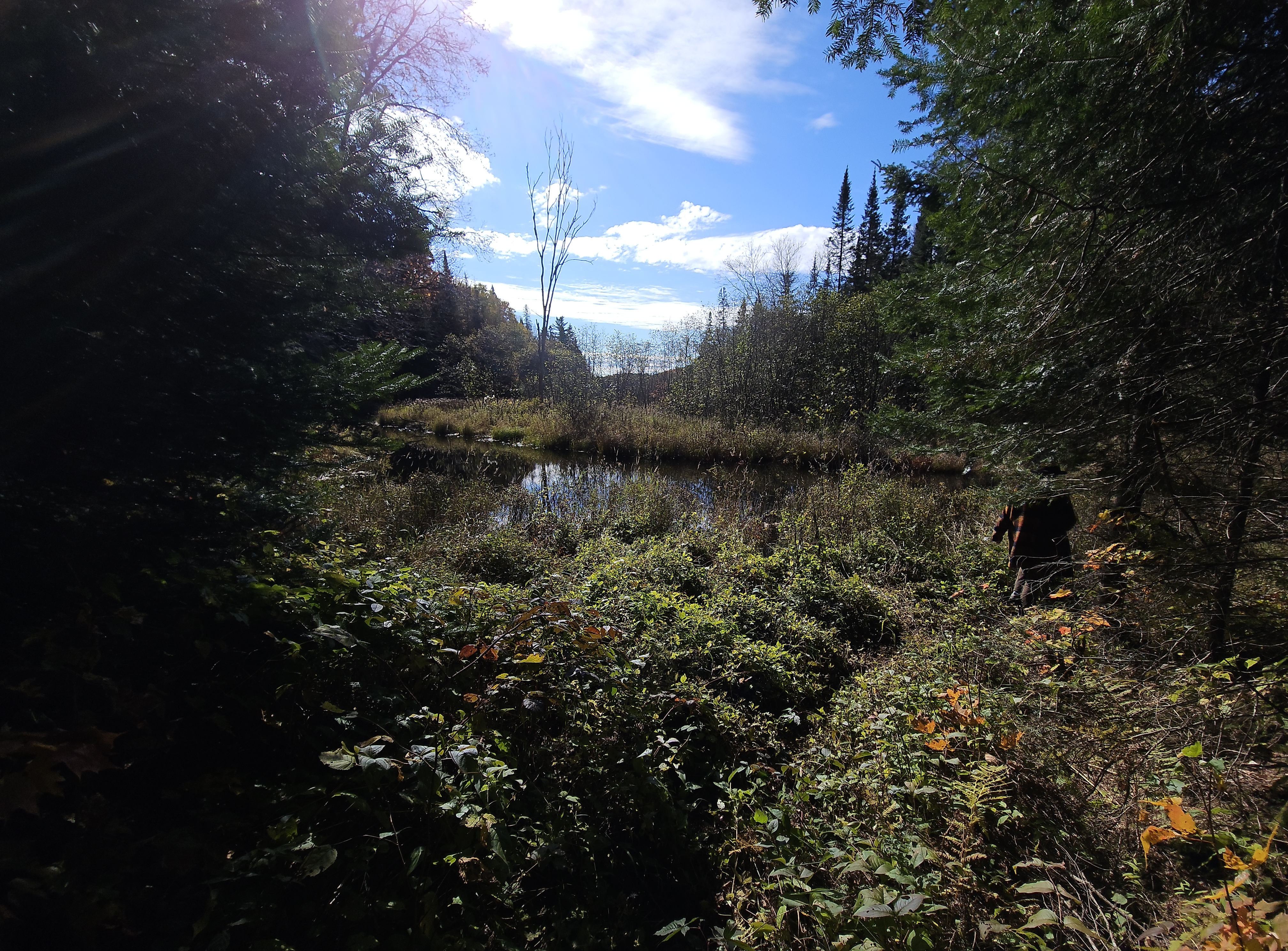 River at end of Oxtongue