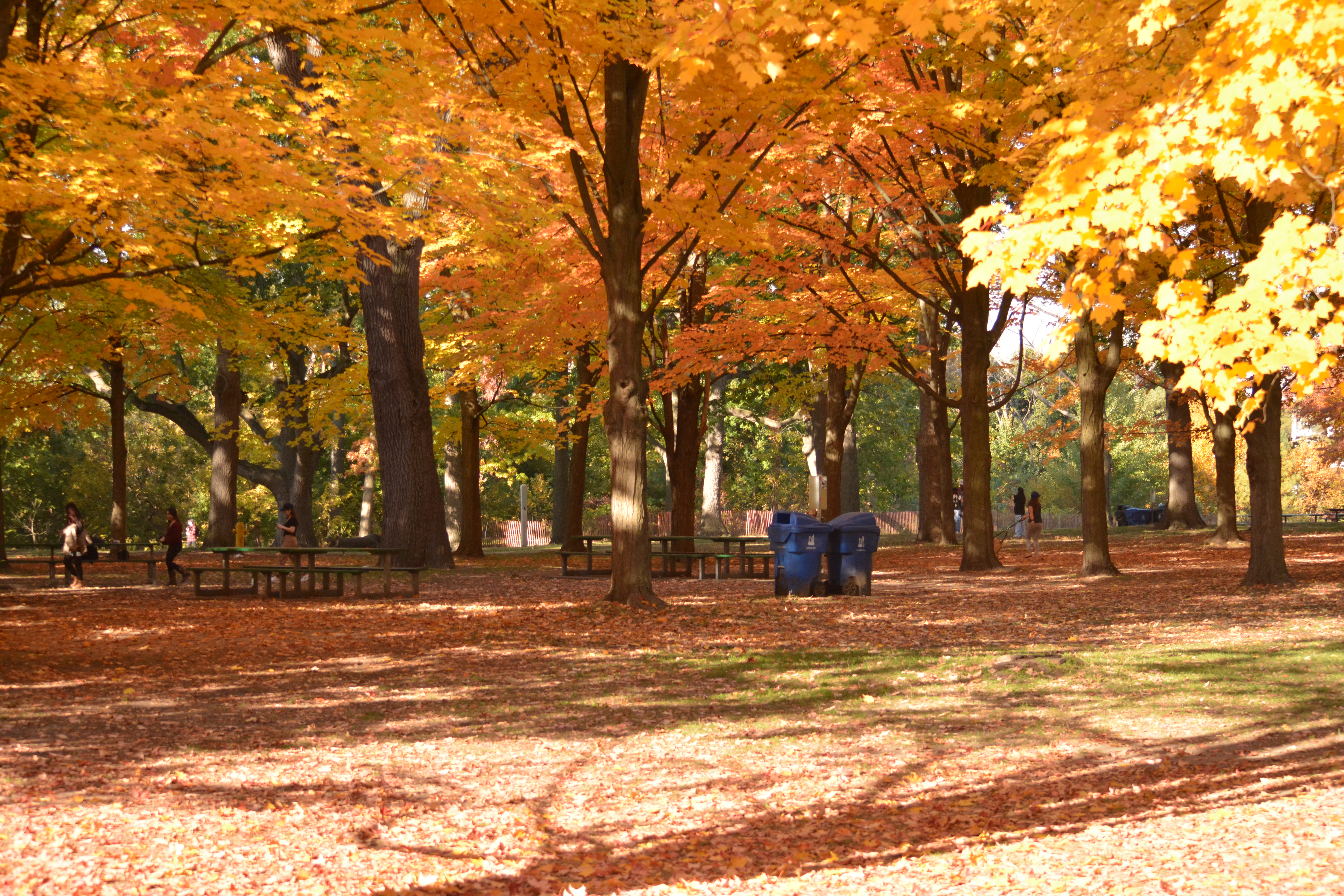 Garbage cans in High Park.