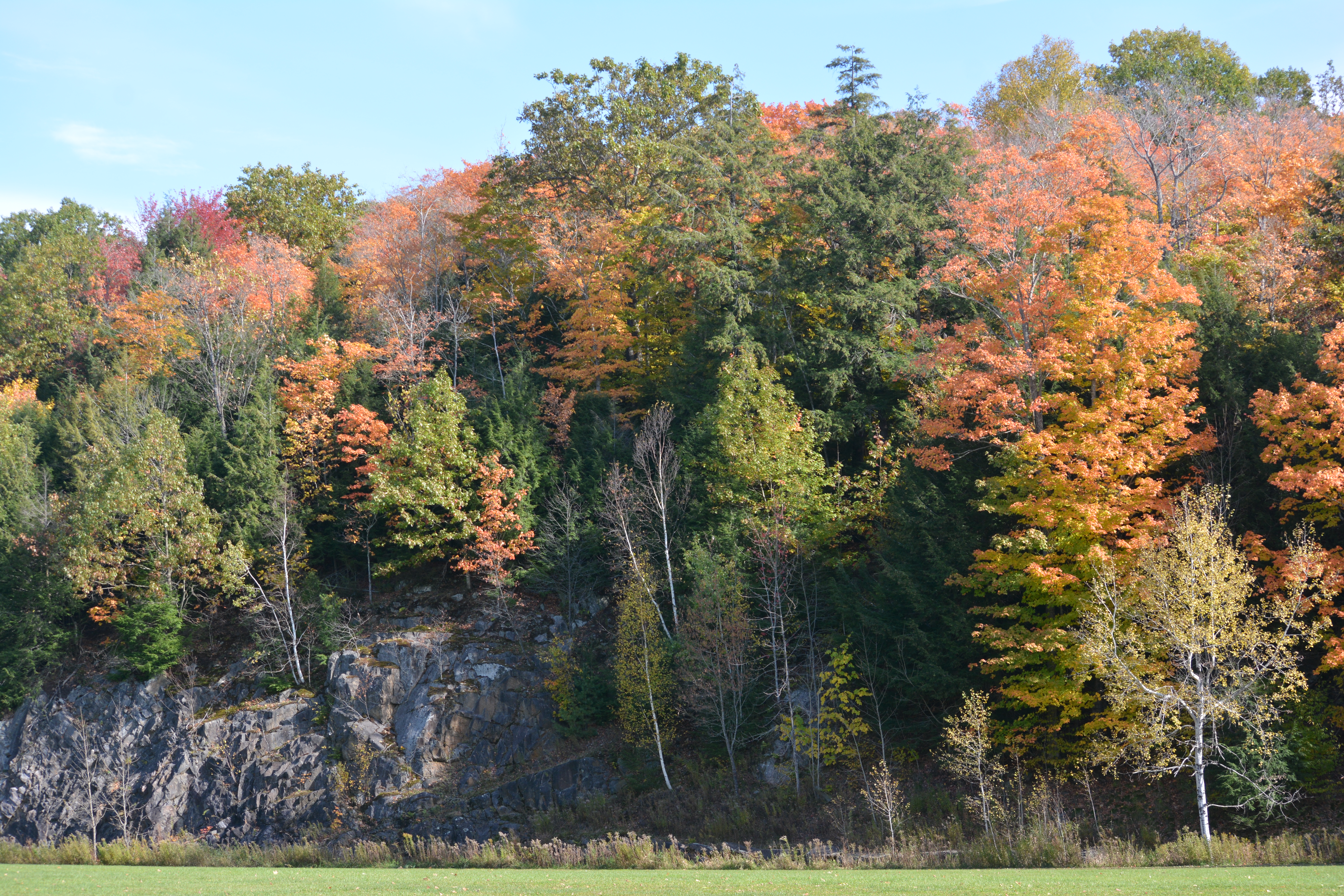 Sports field and cliff