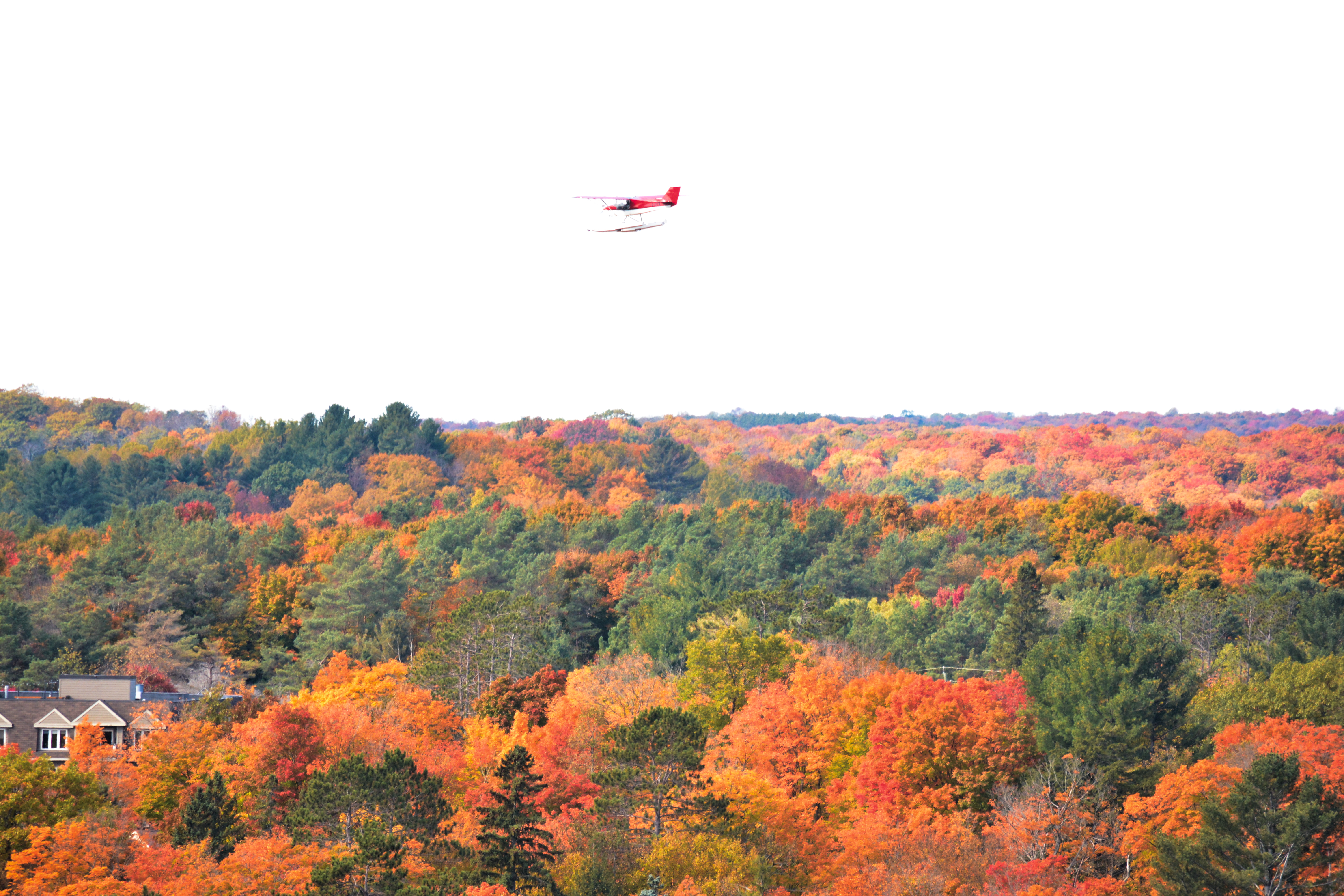 plane flying