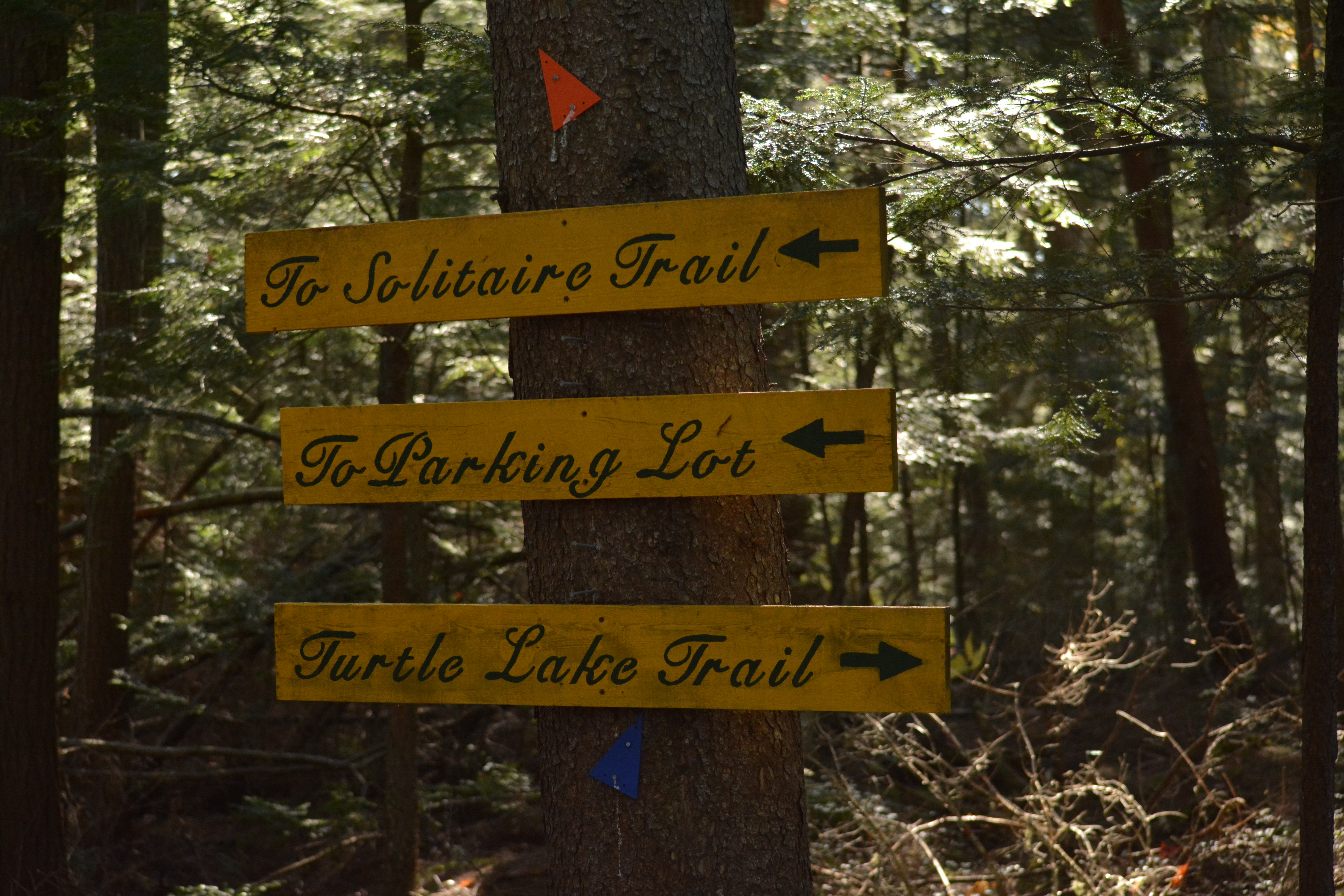 trail sign