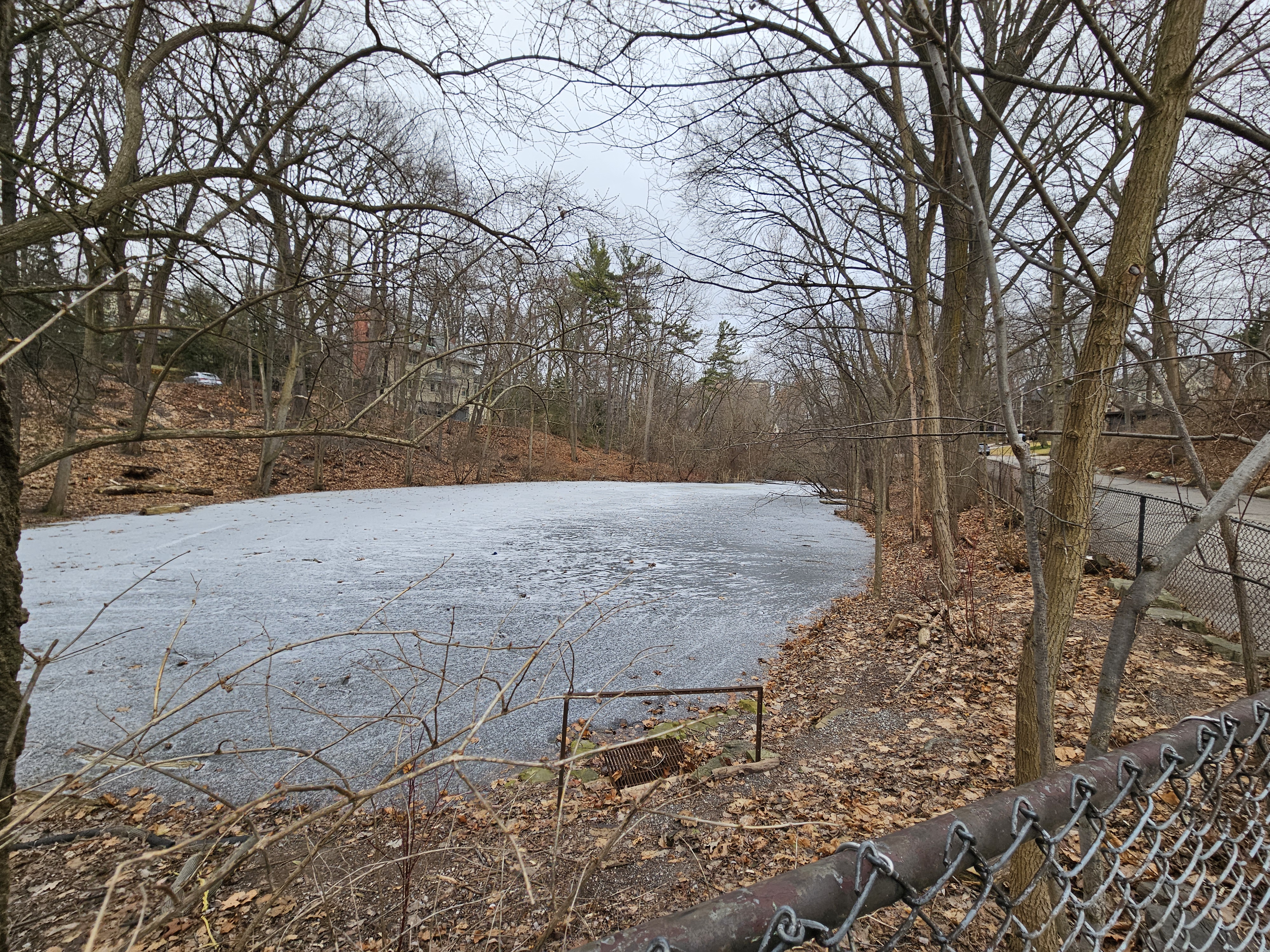 Froozen Wychwood Pond